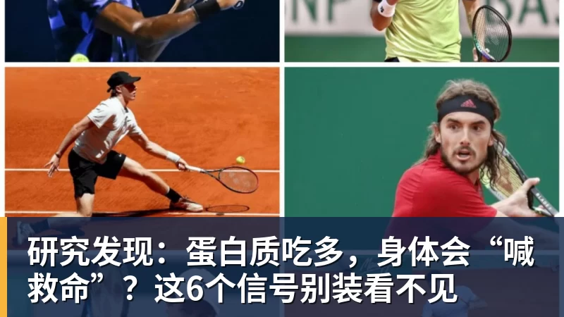九游体育研究发现:蛋白质吃多,身体会“喊救命”?这6个信号别装看不见